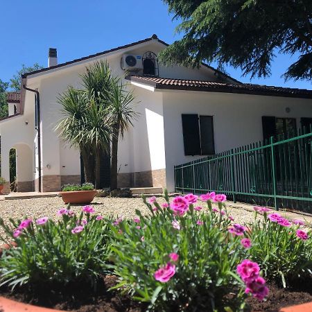 B&B Zac House Toirano Exterior foto